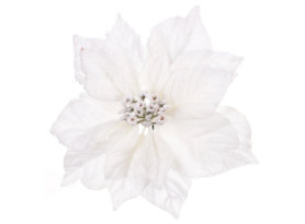 Umelý kvet Zasnežená vianočná hviezda 22 cm, biela