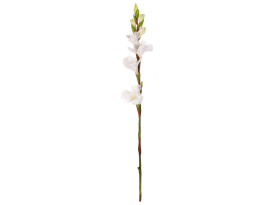 Umelá kvetina Gladiola 85 cm, biela