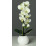 Umelá kvetina Orchidea v kvetináči, krémovo-zelená