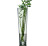 Sklenená váza 70 cm