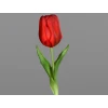 Umelá kvetina Tulipán 20 cm, červená
